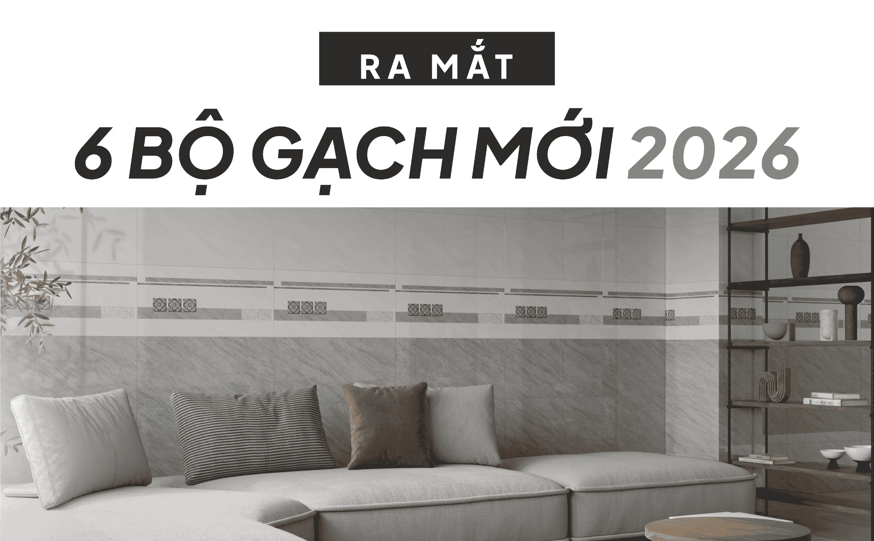 CATALAN RA MẮT 6 COMBO MẪU MỚI 2026