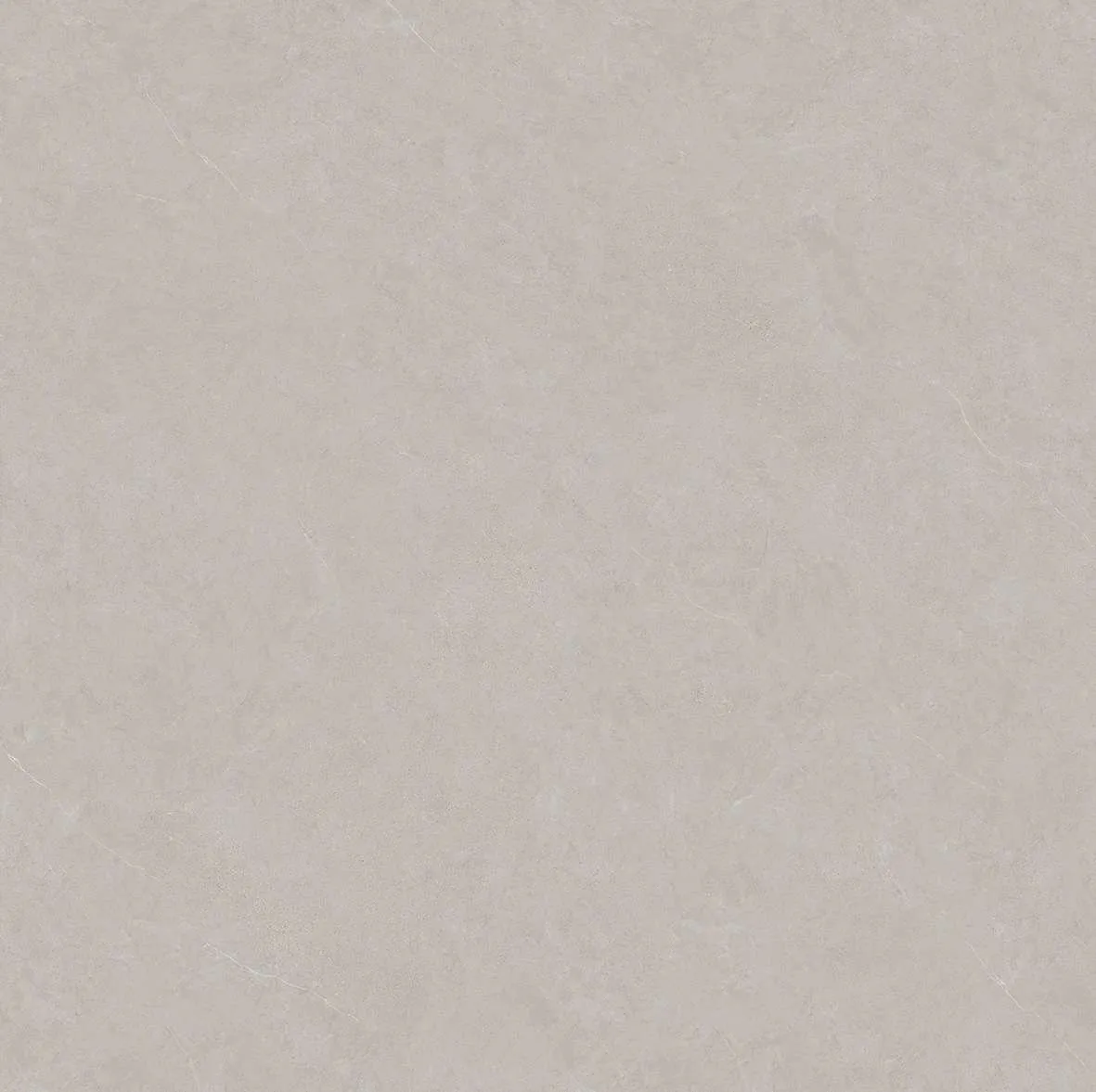 10091 F1