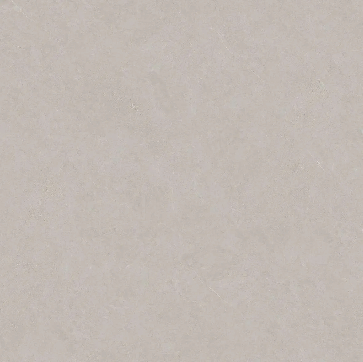 10091 F2