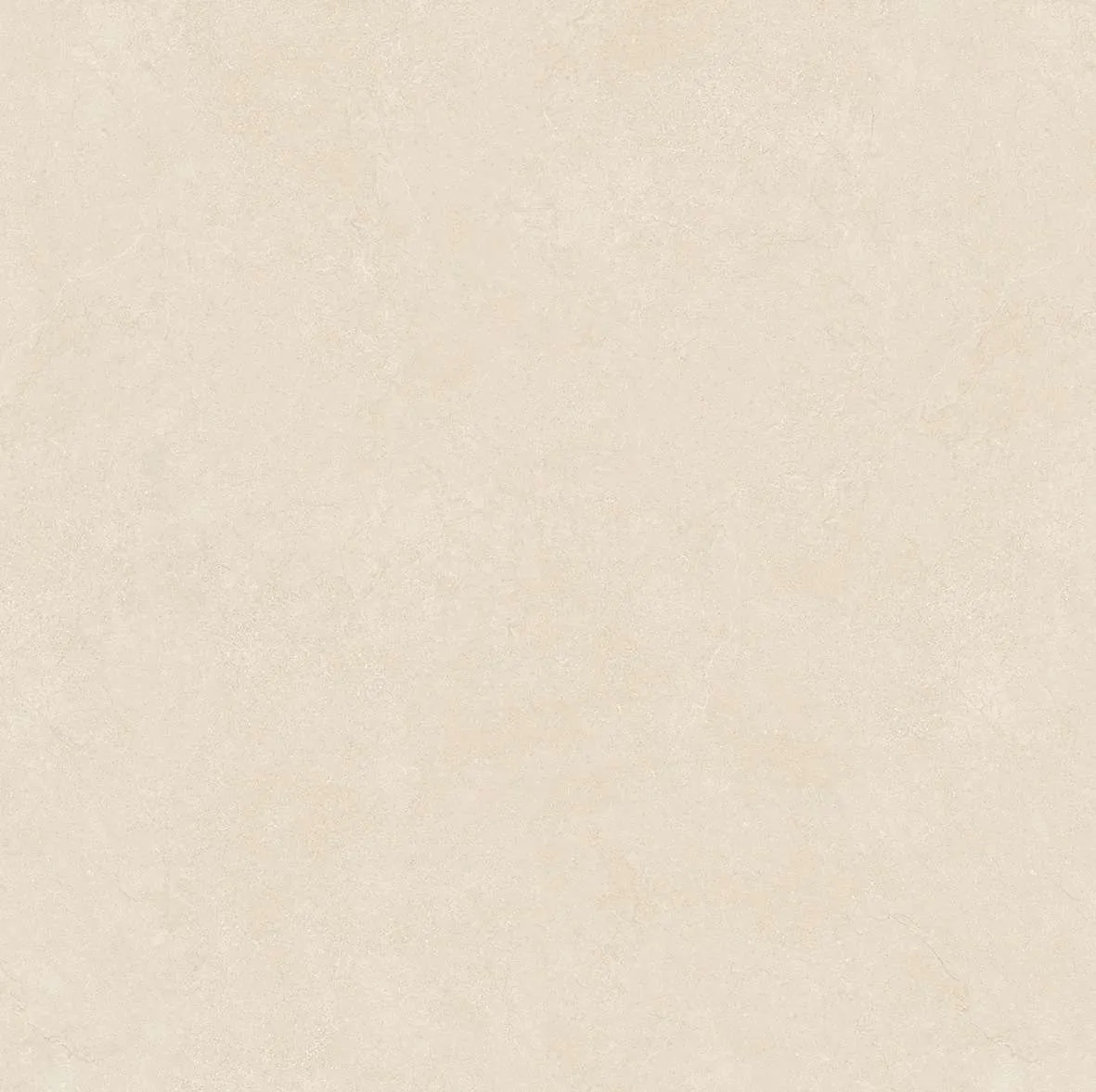 10094 F2