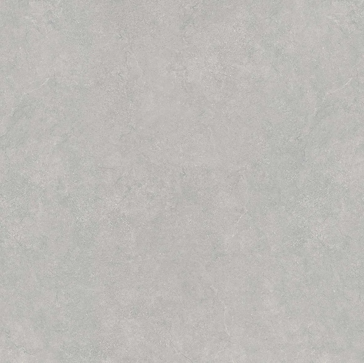 10095 F2