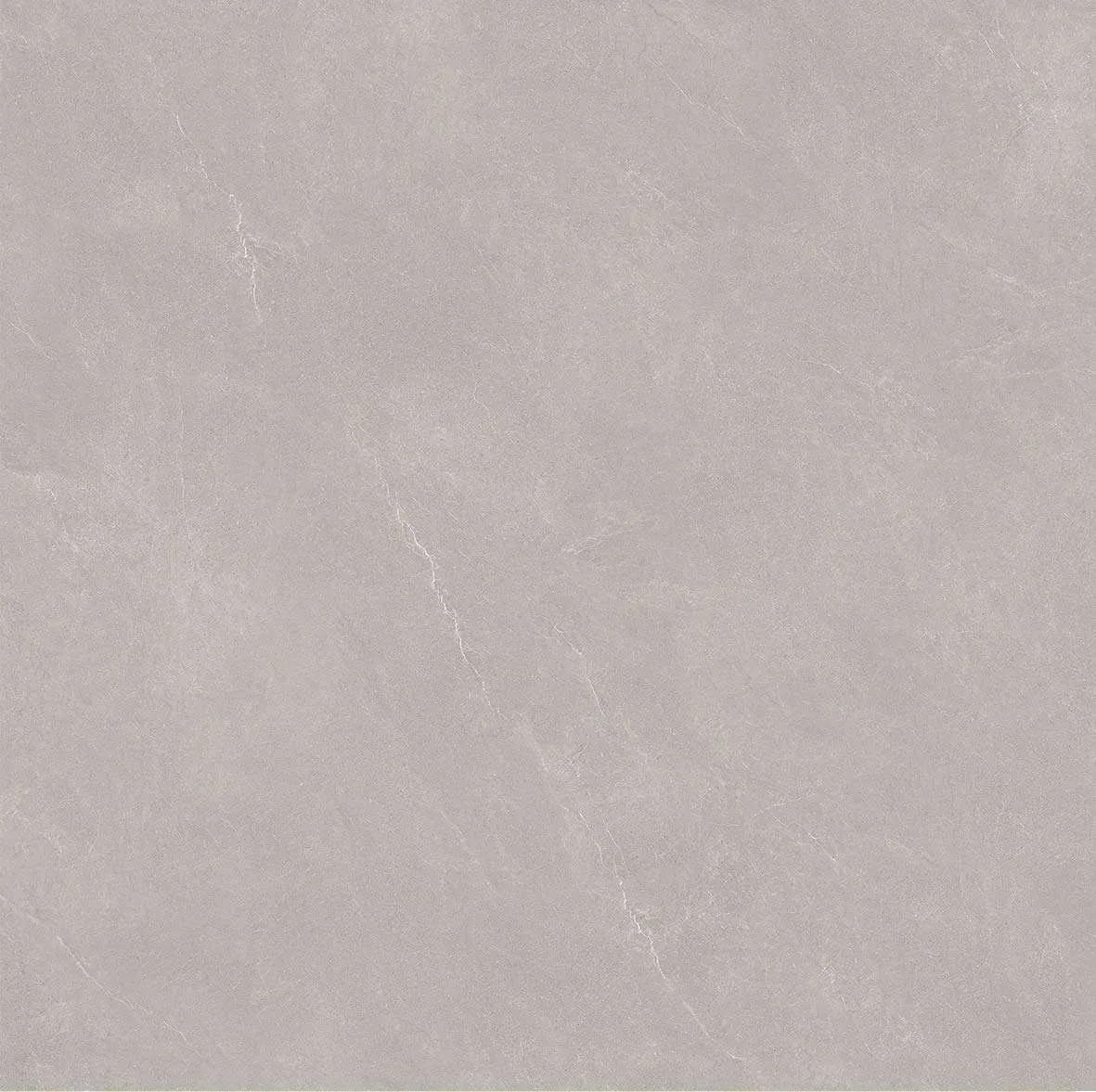 A1101 F5