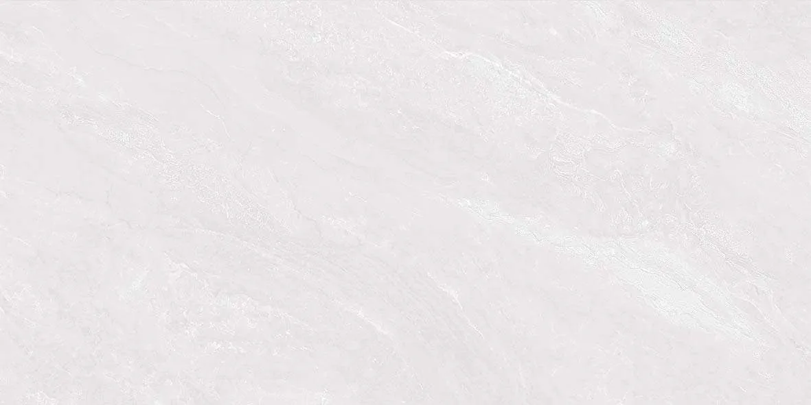40501 F2