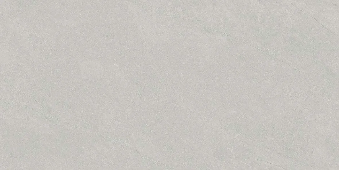 40506 F2