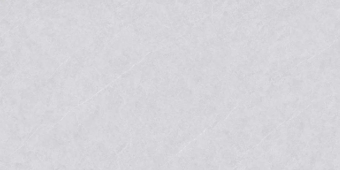 46501 F2