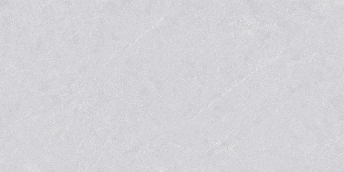 46501 F1