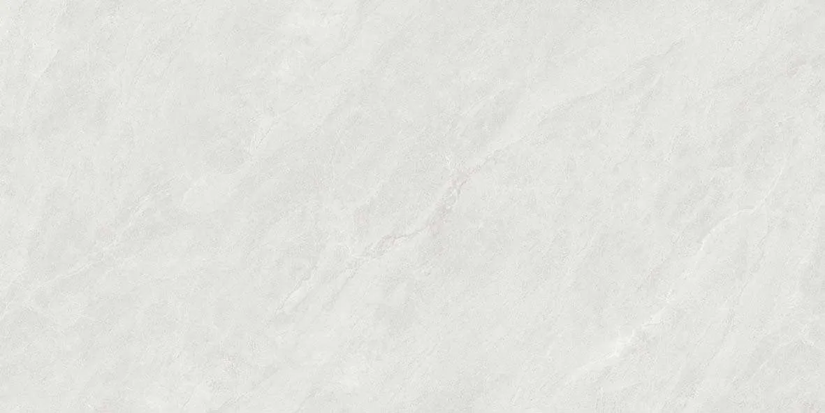 46509 F2