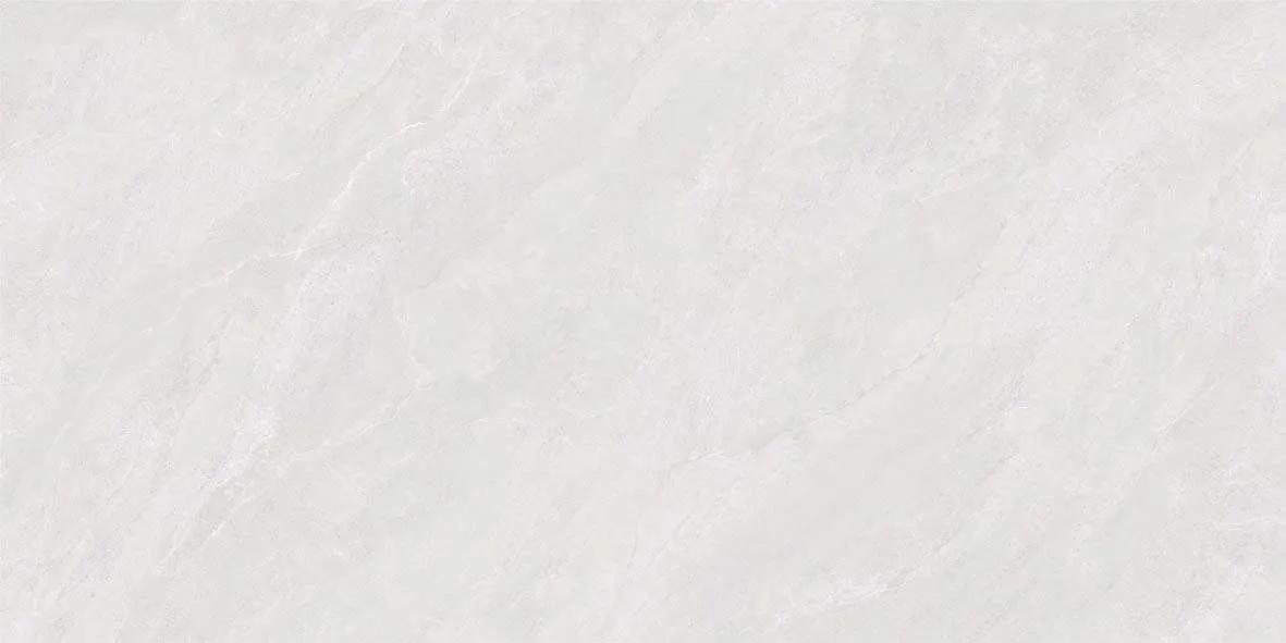 46509 F1