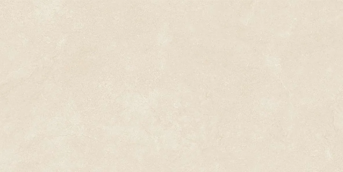 47204 F2