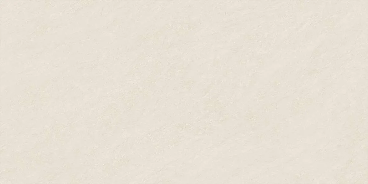 49205 F1