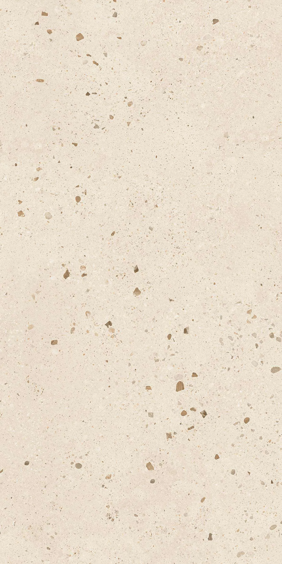 A1682 F8