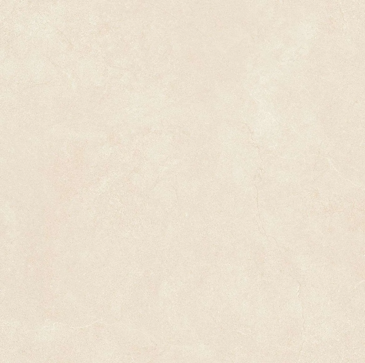 65204 F1