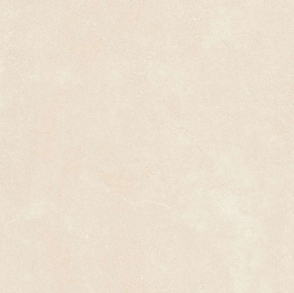 65204 F4